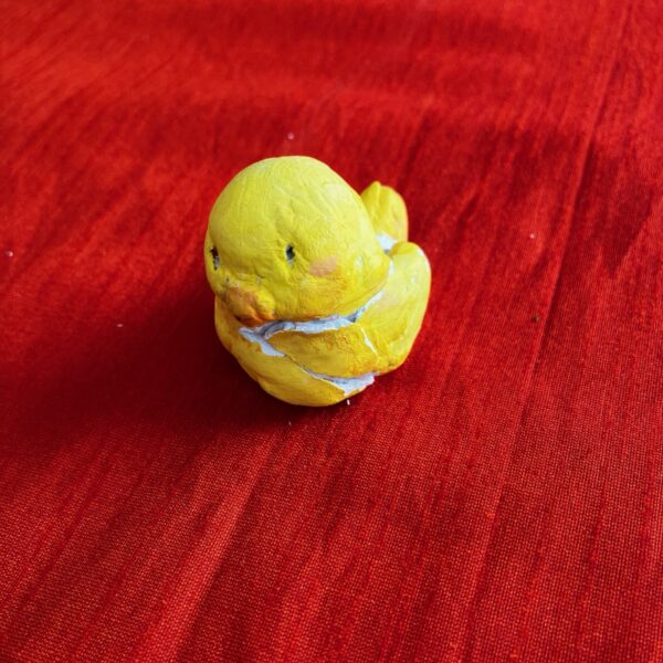 Little duck